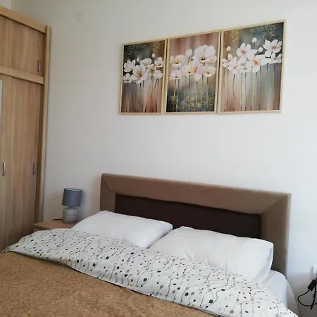 Mali Raj Apartment Soko Banja